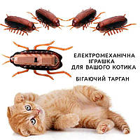 Электромеханический бегающий таракан. Интересная игрушка для вашего кота или ребенка:) Игрушки для кошек.