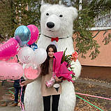 Білий Мішка Хмельницький. Вітання Великого Ведмедя на свято в Хмельницькому, фото 2
