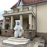 Білий Мішка Чернівці. Вітання Великого Ведмедя на свято в Чернівцях, фото 2