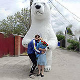 Білий Мішка Ужгород. Вітання Великого Ведмедя на свято в Ужгороді, фото 2