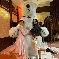 Білий Мішка Ужгород. Вітання Великого Ведмедя на свято в Ужгороді