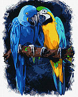 Картина по номерам Очаровательные попугаи 40*50 см Идейка KHO4463
