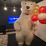 Білий Мішка Черкаси. Вітання Великого Ведмедя на свято в Черкасах, фото 5