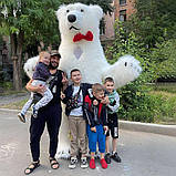 Білий Мішка Кривий Ріг. Вітання Великого Ведмедя на свято в Кривому Розі, фото 2
