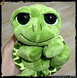 Мила плюшева черепашка — "Tortoise Doll" — 20 х 15 см, фото 6
