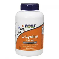 Лизин Now Foods L-Lysine 500 mg 250 tab Нау Фудс