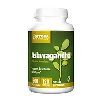 Ашвагандха Jarrow Formulas Ashwagandha 300 mg 120 veg caps