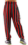 Штани спортивні Big Sam 1341, фото 2