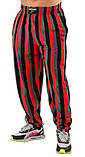 Штани спортивні Big Sam 1341, фото 3