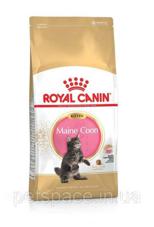 Корм Royal Canin Maine Сoon Кitten (Роял Канін Мейн Кун Кіттен), 10кг.