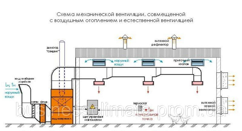 Проектирование вентиляции перепелиной фермы - фото 1 - id-p1792701231