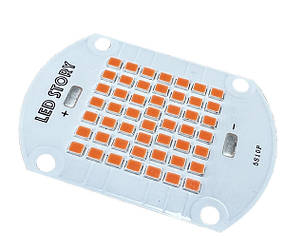 Фітоматриці