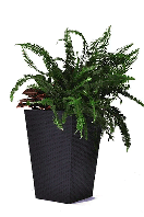 Цветочный горшок Keter Medium Rattan Planter серый (7290103659288)