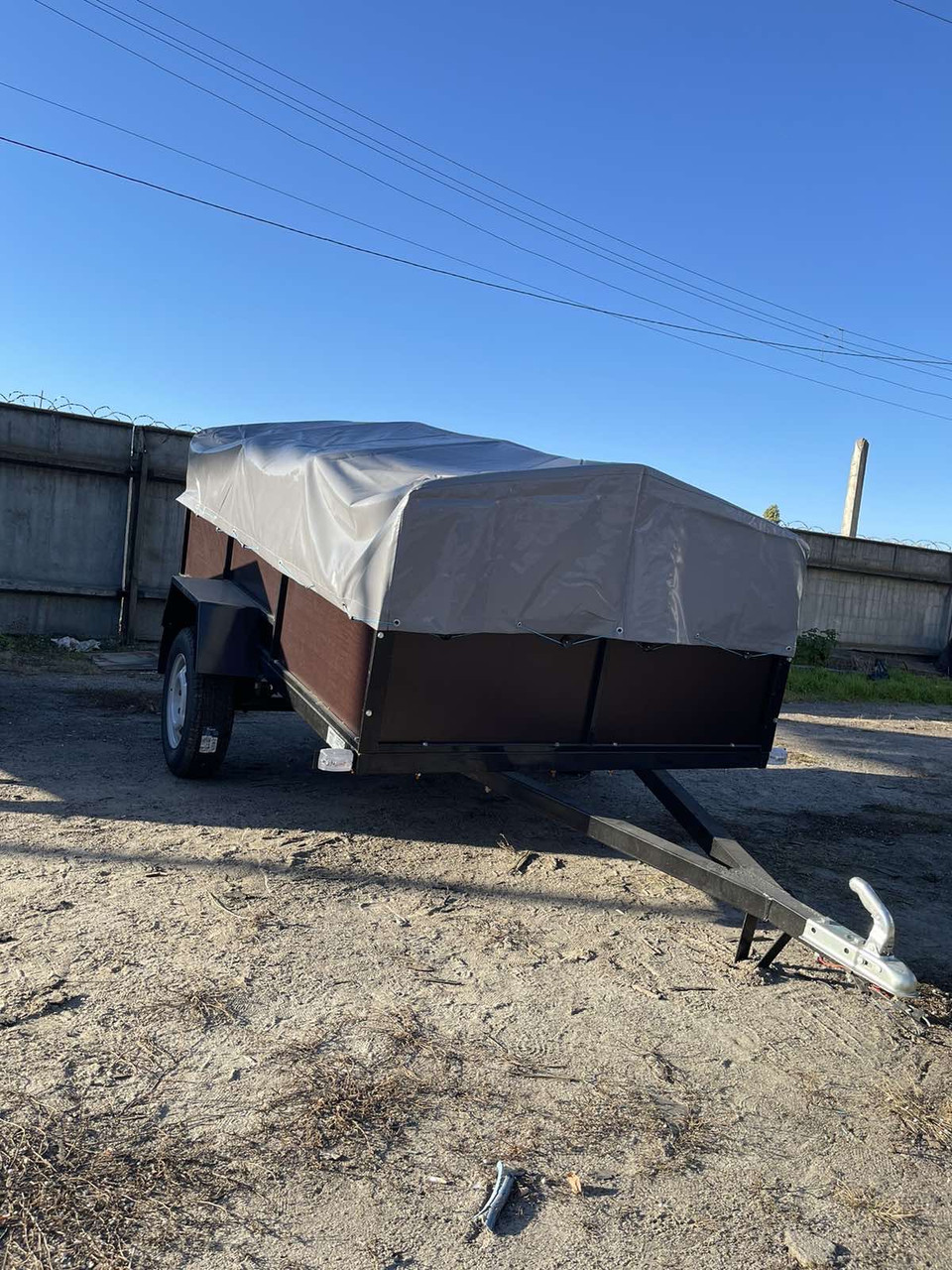 Одноосний бакелітовий причіп Дніпро-251, фото 1