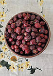 Шипшина плоди (Rosae fructus), фото 3