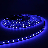 LED стрічка LED-STIL RGB+W 4000K, 18 W, 5050, 60 шт, IP33, 24V, 1100 LM, фото 2