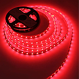 LED стрічка LED-STIL RGB+W 4000K, 18 W, 5050, 60 шт, IP33, 24V, 1100 LM, фото 3