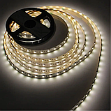 LED стрічка LED-STIL RGB+W 4000K, 18 W, 5050, 60 шт, IP33, 24V, 1100 LM, фото 4
