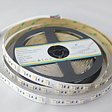 LED стрічка LED-STIL RGB+W 4000K, 18 W, 5050, 60 шт, IP33, 24V, 1100 LM, фото 7