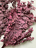 Евкаліпт Ценерея стабілізований бордово-фіолетовий, фото 2