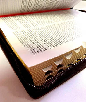 Укр. Біблія Сучасний переклад Турконяк великого формату (коричнева з рамкою, натуральна шкіра, блискавка, індекси, золото, 18х26), фото 3
