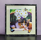 Картина 3D Кіт 40*40см KD009