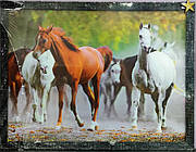 Картина 3D Коні біля річки 40*30см KD003