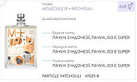 Парфумерний концентрат (100 грам) PARTICLE PATCHOULI (аналог ESC*NTRIC MOLE**LES-MOLECULE 01 + PATCHOULI)