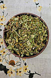Глід цвіт з листом (Crataegi flores cum folia) 500 г, фото 3