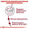 Royal Canin (Роял Канін) Medium Adult для собак середніх порід від 12 місяців до 7 років, 4 кг, фото 5