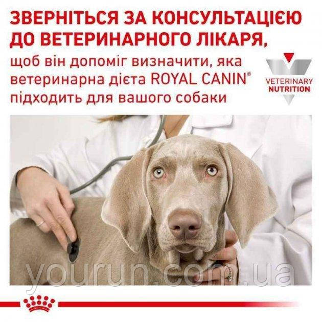 Royal Canin (Роял Канин) Gastro Intestinal Low Fat Dog - Сухой лечебный корм для собак при панкреатите 12 кг - фото 9 - id-p91993657