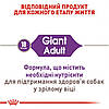 Royal Canin (Роял Канін) Giant Adult Сухий корм для дорослих собак гігантських порід 12+3 кг, фото 7