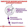 Royal Canin (Роял Канін) Giant Adult Сухий корм для дорослих собак гігантських порід 12+3 кг, фото 6