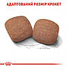 Royal Canin (Роял Канін) Giant Adult Сухий корм для дорослих собак гігантських порід 12+3 кг, фото 5