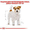 Royal Canin (Роял Канін) Jack Russell Terrier - Сухий корм для Джек-Рассел-тер'єрів 7.5 кг, фото 4