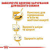 Royal Canin (Роял Канін) Jack Russell Terrier - Сухий корм для Джек-Рассел-тер'єрів 7.5 кг, фото 7