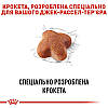 Royal Canin (Роял Канін) Jack Russell Terrier - Сухий корм для Джек-Рассел-тер'єрів 7.5 кг, фото 6
