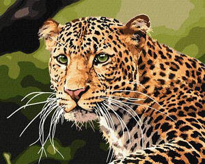 Набір для розпису по номерах. "Зеленокий леопард" 40х50 см