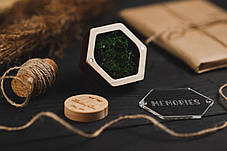 Дерев'яна коробочка Craft Mini Eco Glass, фото 4