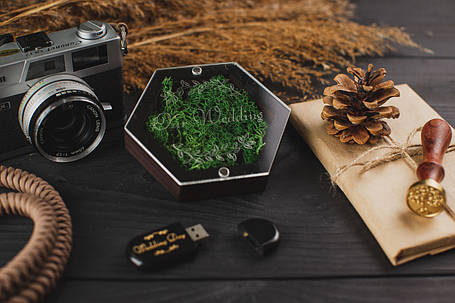 Дерев'яна коробочка Craft Plus Glass, фото 1