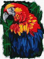 Картина по номерам Единственный и неповторимый попугай 30*40 см Идейка KHO4462