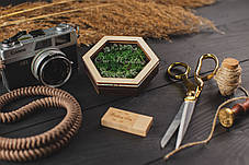 Дерев'яна коробочка Craft Plus Frame, фото 3