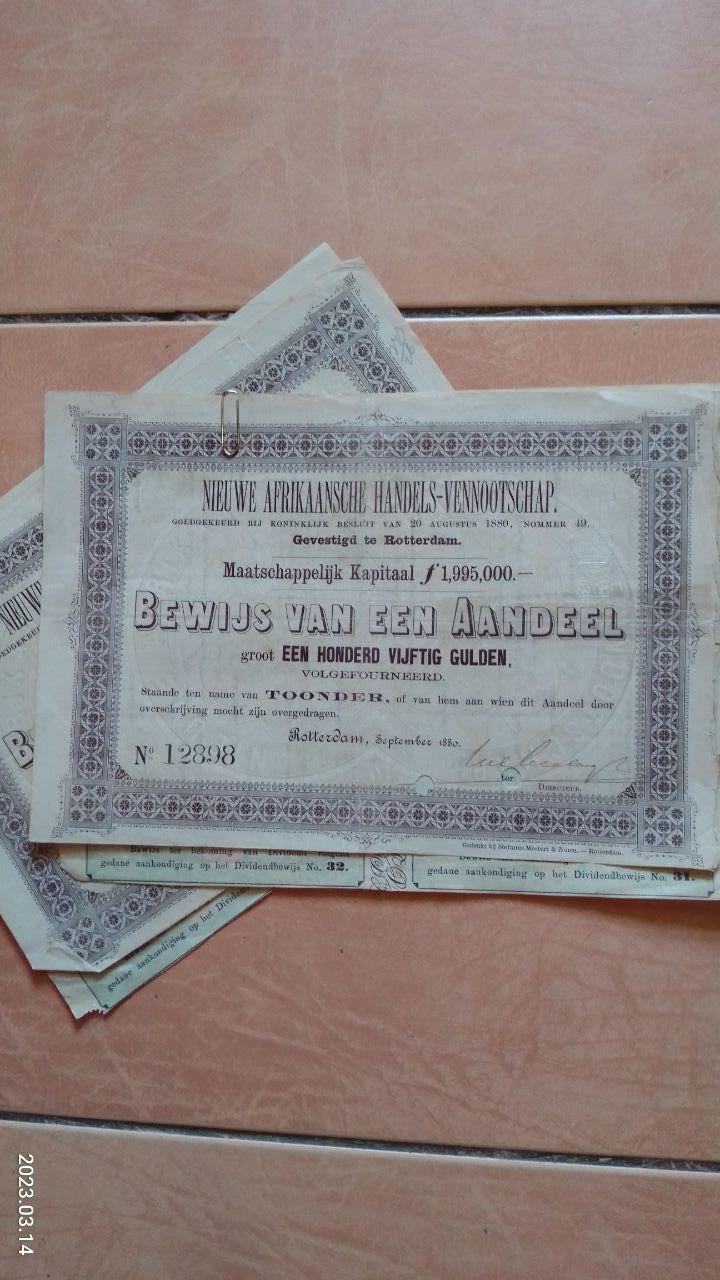 Акція. Нидерла́нды 1880 рік (Д-1.5)