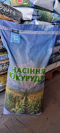 Кукурудза Яровець 243МВ ФАО 240 Sunseeds , насіння кукурудзи доходять для силосу і на зерно, фото 3
