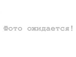 Причіп для автодора двосний + генератор бензиновий! Гальма на обидві осі!