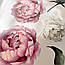 Набір вінілових міні наклейок Акварельні біло-рожеві півонії від 10 до 20 см наклейки квіти матова, фото 7