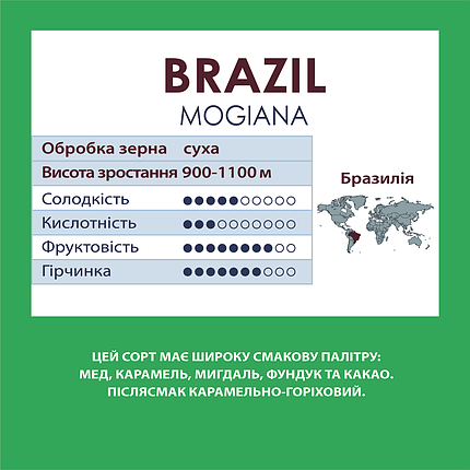 Кава в зернах Бразилія Моджана 100% арабіка 500г, фото 2