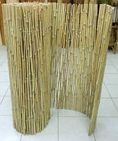 Бамбукові паркани