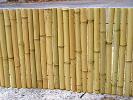 Бамбукові паркани