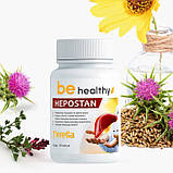 Гепостан. Фітокомплекс для очищення печінки, 60 капсул, фото 7